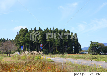 磐梯山　会津磐梯山　猪苗代　トヨタロード　田んぼ　猪苗代代塩川線　磐梯町　星野リゾート ネコマ 　　 124549265