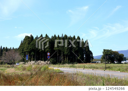 磐梯山　会津磐梯山　猪苗代　トヨタロード　田んぼ　猪苗代代塩川線　磐梯町　星野リゾート ネコマ 　　 124549266