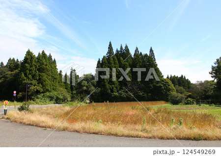 磐梯山　会津磐梯山　猪苗代　トヨタロード　田んぼ　猪苗代代塩川線　磐梯町　星野リゾート ネコマ 　　 124549269