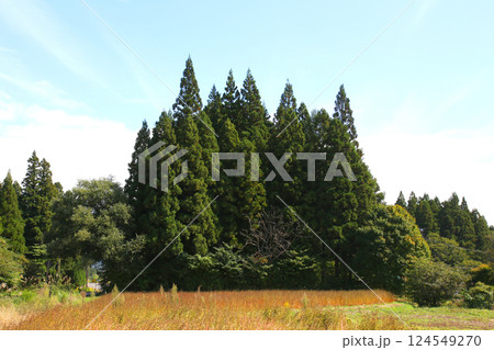 磐梯山　会津磐梯山　猪苗代　トヨタロード　田んぼ　猪苗代代塩川線　磐梯町　星野リゾート ネコマ 　　 124549270