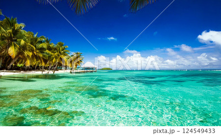 南国の海の風景 124549433