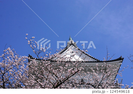 城 桜 城 桜 124549618