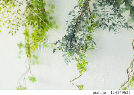 白い壁とグリーン 124549625