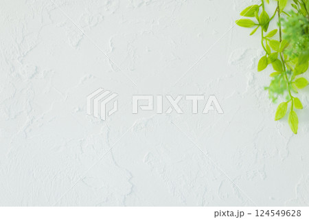 白い壁とグリーン 124549628