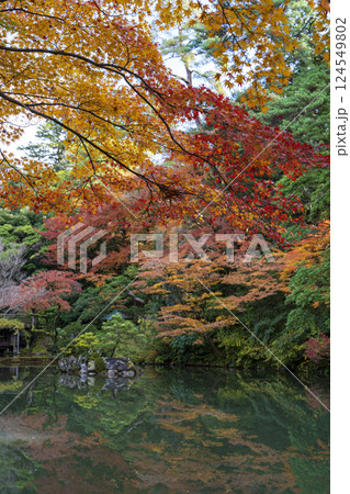 秋の金沢旅行で訪れたい紅葉真っ盛りの兼六園 秋の金沢旅行で訪れたい紅葉真っ盛りの兼六園 124549802