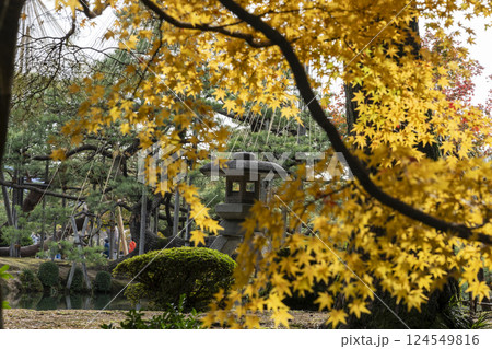 秋の金沢旅行で訪れたい紅葉真っ盛りの兼六園 124549816