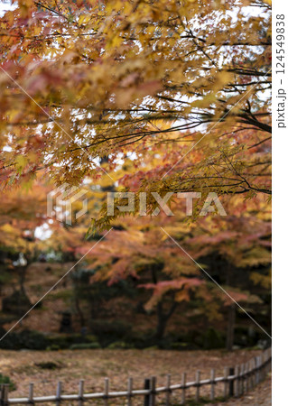 秋の金沢旅行で訪れたい紅葉真っ盛りの兼六園 秋の金沢旅行で訪れたい紅葉真っ盛りの兼六園 124549838