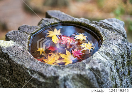 秋の金沢旅行で訪れたい紅葉真っ盛りの兼六園 124549846