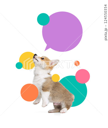 Contemporary art collage. Corgi puppy looking up curiously while standing among vivid speech bubbles and color dots. Contemporary art collage. Corgi puppy looking up curiously while standing among vivid speech bubbles and color dots. 124550354