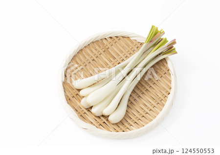 白バックで盆ざるに乗せたエシャレット 124550553