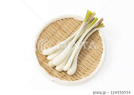 白バックで盆ざるに乗せたエシャレット 白バックで盆ざるに乗せたエシャレット 124550554