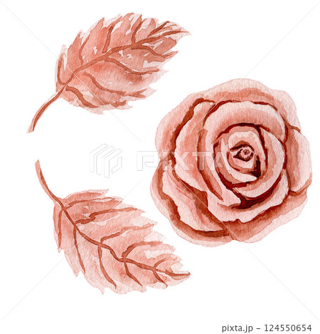 Set of plastic or metal rose head and two leaves and circle. Watercolor illustrations isolated on white background for design, decor, cards, postcards 124550654