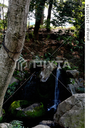 善福寺公園　遅野井の湧水の風景 124550754