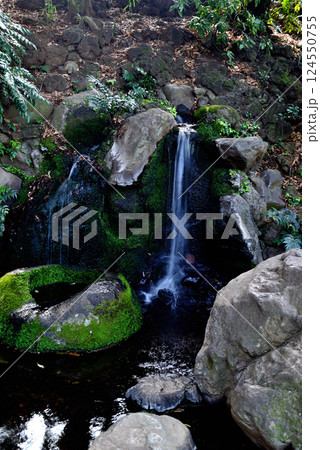 善福寺公園　遅野井の湧水の風景 124550755