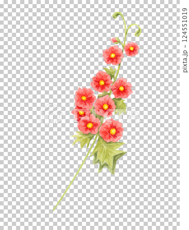 Red and yellow hollyhock stem watercolor clipart with detailed green leaves. Perfect for vintage-inspired prints, botanical branding, floral-themed invitations, and home decor accents Red and yellow hollyhock stem watercolor clipart with detailed green leaves. Perfect for vintage-inspired prints, botanical branding, floral-themed invitations, and home decor accents 124551019
