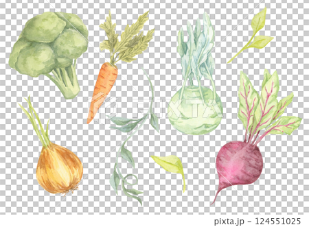 A colorful collection of watercolor vegetables featuring broccoli, onion, carrot, beetroot, and kohlrabi. Ideal for eco-friendly product packaging, menu designs, and garden-inspired decor A colorful collection of watercolor vegetables featuring broccoli, onion, carrot, beetroot, and kohlrabi. Ideal for eco-friendly product packaging, menu designs, and garden-inspired decor 124551025