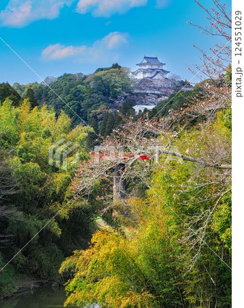 春の大多喜城といすみ鉄道の赤い鉄橋 124551029