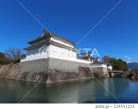快晴の日の駿府城 快晴の日の駿府城 124551223