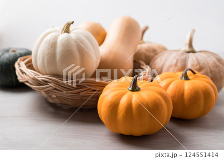 Various pumpkins on white background, Agriculture and harvesting Various pumpkins on white background, Agriculture and harvesting 124551414