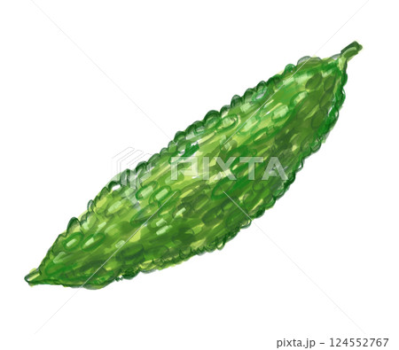 新鮮で美味しそうな苦味のあるゴーヤの手描き水彩イラスト 新鮮で美味しそうな苦味のあるゴーヤの手描き水彩イラスト 124552767