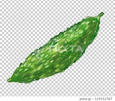 新鮮で美味しそうな苦味のあるゴーヤの手描き水彩イラスト 新鮮で美味しそうな苦味のあるゴーヤの手描き水彩イラスト 124552767