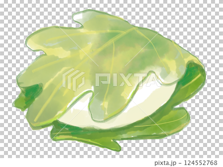 A hand-drawn watercolor illustration of Kashiwamochi, a sweet and delicious Japanese confectionery for Children's Day 124552768