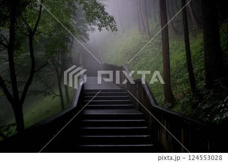 霧に包まれた森の中を通る木製階段 124553028