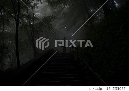 霧に包まれた森の階段を歩く人物のシルエット 霧に包まれた森の階段を歩く人物のシルエット 124553035