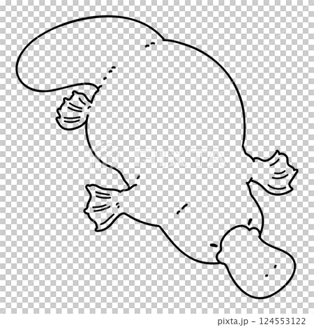 下に泳ぐシンプルで可愛いカモノハシのイラスト　線画のみ 124553122