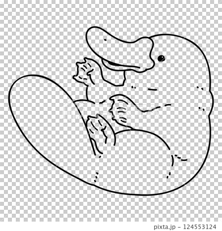シンプルで可愛いフワフワのカモノハシのイラスト　線画のみ 124553124