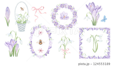 Snowdrops and crocuses botanical illustration set. Watercolor floral collection, spring flower bouquet, wicker basket, wreath, border frame, pink ribbon, honeybee. Hand drawn elements for greeting car 124553189
