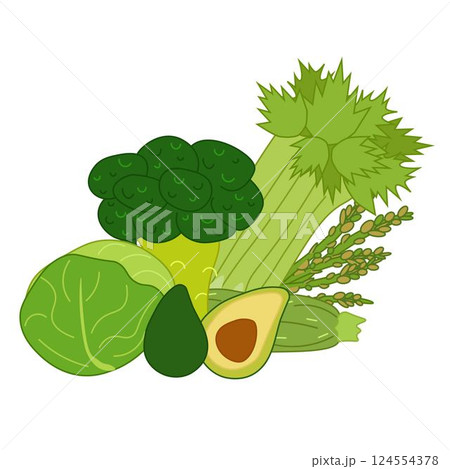 Green veggies composition broccoli, avocado, cabbage, zucchini, illustration with vegetables isolated on white background. Vector flat food set for your design. For logo, package, sticker. Eat green 124554378