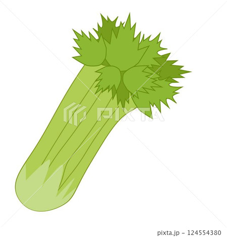 Celery Vegetable Flat Sticker Design isolated vector illustration. art for food design, recipe, cook book, packages, menu, food ads and decor Eat green Celery Vegetable Flat Sticker Design isolated vector illustration. art for food design, recipe, cook book, packages, menu, food ads and decor Eat green 124554380