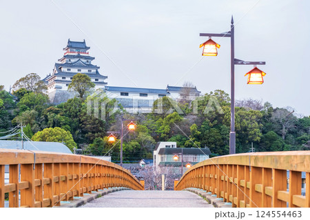 Jyounai bridge trail with lantern light up to Karatsu castle, Saga Jyounai bridge trail with lantern light up to Karatsu castle, Saga 124554463
