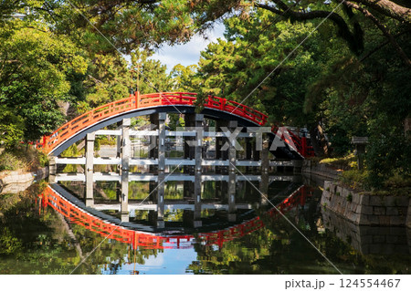 Drum Bridge or Sori Bashi at Sumiyoshi Taisha Shrine, Osaka 124554467