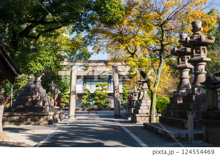 Torii gate and lantern statue of Sumiyoshi Taisha Shrine, Osaka Torii gate and lantern statue of Sumiyoshi Taisha Shrine, Osaka 124554469