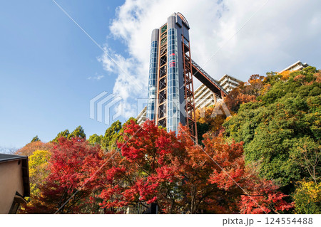 hotel grass elevator by colorful autumn maple leaves, Minoh park hotel grass elevator by colorful autumn maple leaves, Minoh park 124554488