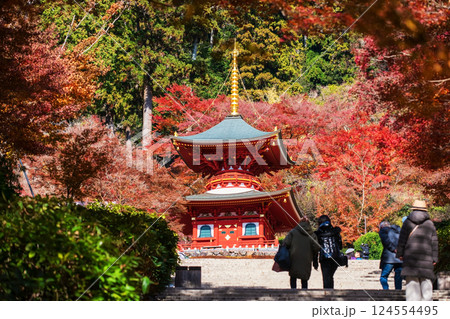 people walk to Katsuoji temple pagoda by autumn foliage garden people walk to Katsuoji temple pagoda by autumn foliage garden 124554495