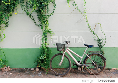 Old bike or bicycle park by green white wall with climber plant Old bike or bicycle park by green white wall with climber plant 124554506