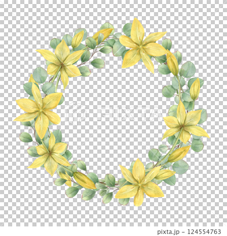 Spring yellow tulip flowers, green eucalyptus leaves watercolor wreath with empty space for text. Wild primroses floral illustration isolated background. Round frame for wedding, greeting card. 124554763