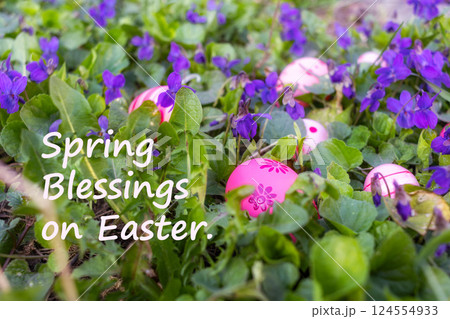 Easter eggs hidden among lush green foliage and bright spring flowers of forest violets, with wish for blessings Easter eggs hidden among lush green foliage and bright spring flowers of forest violets, with wish for blessings 124554933