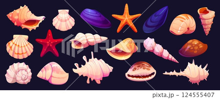Cartoon seashells, mussels and starfish of vector ocean beach shellfish and underwater coral reef mollusk animals. Marine sea shells, conches, scallops and mussels, starfish, clams, horn snail, cowrie Cartoon seashells, mussels and starfish of vector ocean beach shellfish and underwater coral reef mollusk animals. Marine sea shells, conches, scallops and mussels, starfish, clams, horn snail, cowrie 124555407