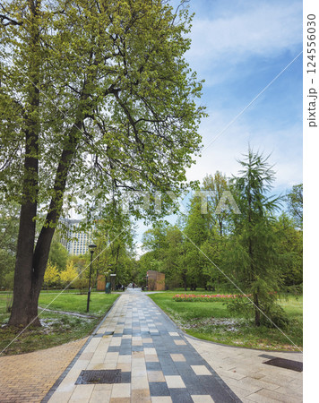 Decorative tile pavement in the park alley. 124556030