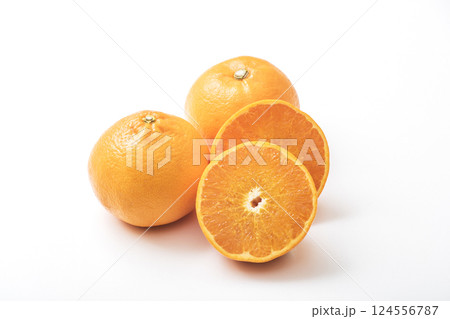 みかんの大トロと呼ばれるせとかみかん 新鮮なせとか 採れたてのせとか 幻の柑橘 柑橘果物 みかんの大トロと呼ばれるせとかみかん 新鮮なせとか 採れたてのせとか 幻の柑橘 柑橘果物 124556787