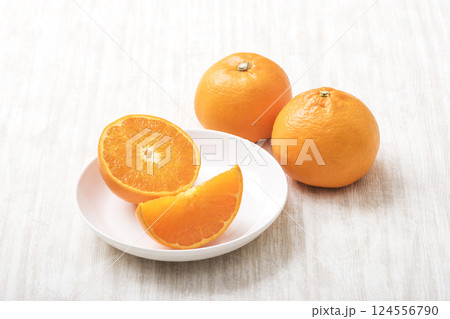 みかんの大トロと呼ばれるせとかみかん　新鮮なせとか　採れたてのせとか　幻の柑橘　柑橘果物 124556790