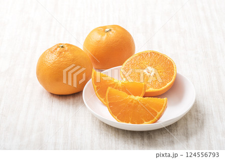 みかんの大トロと呼ばれるせとかみかん 新鮮なせとか 採れたてのせとか 幻の柑橘 柑橘果物 みかんの大トロと呼ばれるせとかみかん 新鮮なせとか 採れたてのせとか 幻の柑橘 柑橘果物 124556793