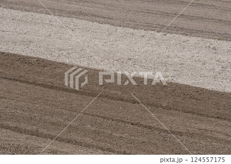 乾燥と潤いの対比　保水性と排水性　三色の土　耕された土壌　整地された田畑　土壌改良　イメージ素材 124557175