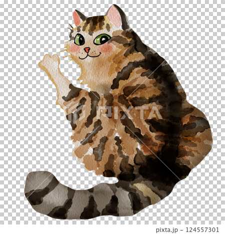 Watercolor drawing of a fluffy cat sitting on the floor with a raised paw. For the design of pet food and goods, stickers, postcards, notebooks, veterinary clinics. A cunning cat with a funny face. Watercolor drawing of a fluffy cat sitting on the floor with a raised paw. For the design of pet food and goods, stickers, postcards, notebooks, veterinary clinics. A cunning cat with a funny face. 124557301