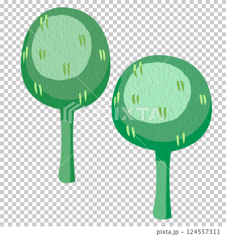 Clip art illustration of two very simple green trees. Minimalist childish illustration without a background for books or games. Rounded shape and short green trunk. Soft paper texture and lighting. 124557311