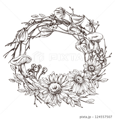 Autumn berries physalis, chokeberry, rowan leaves, maple, birch, mushrooms, rudbeckia flowers, tree branches. Graphic line art hand drawn with black ink. Round wreath, frame, template for text. Autumn berries physalis, chokeberry, rowan leaves, maple, birch, mushrooms, rudbeckia flowers, tree branches. Graphic line art hand drawn with black ink. Round wreath, frame, template for text. 124557507